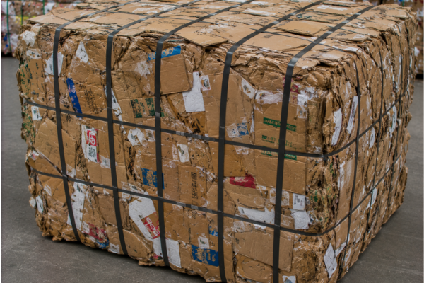 Cardboard Waste