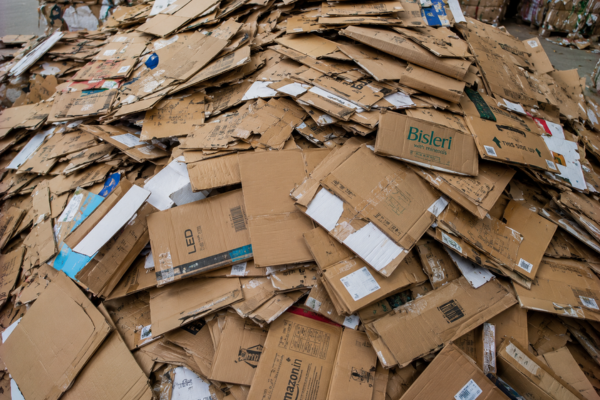 Cardboard Waste